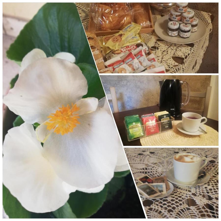 Bed & Breakfast Barbara Borgo Grotta Gigante Buitenkant foto