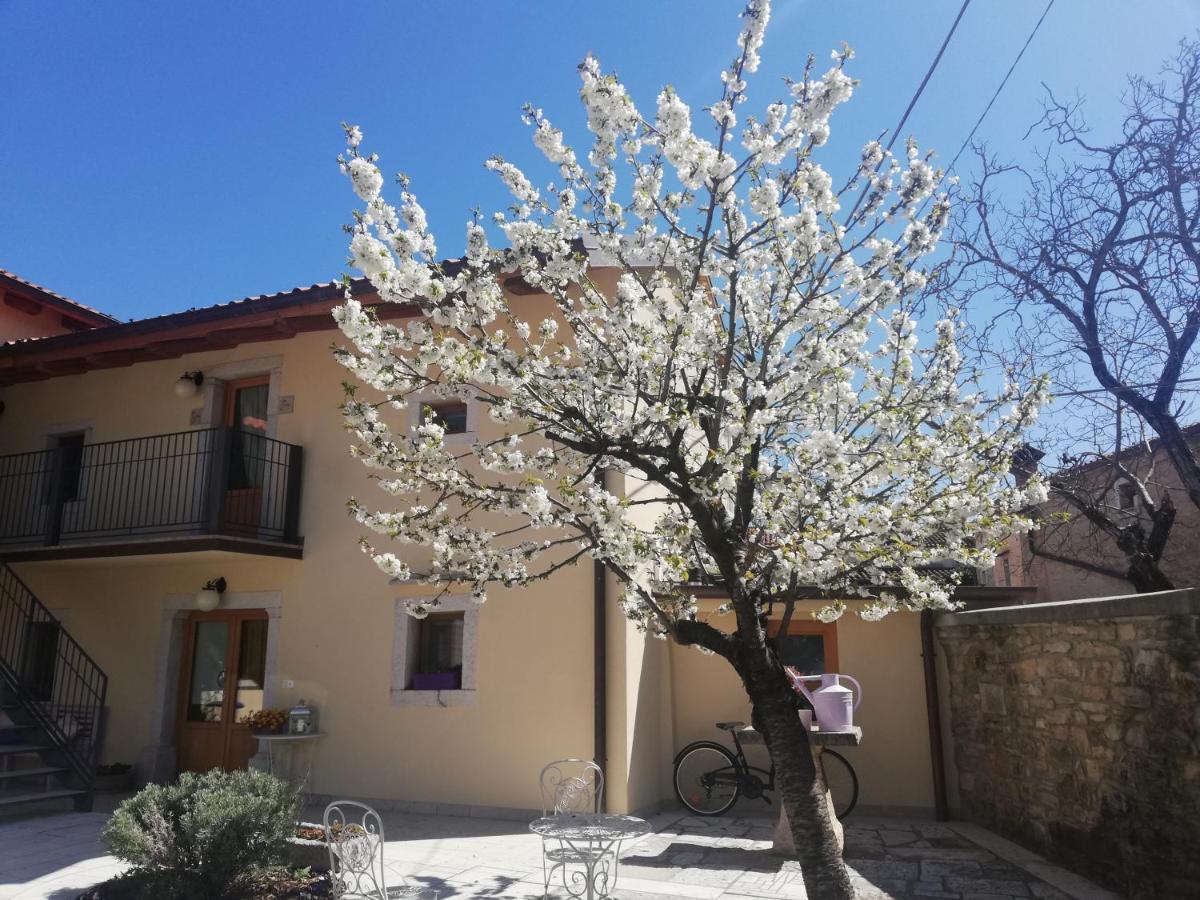 Bed & Breakfast Barbara Borgo Grotta Gigante Buitenkant foto