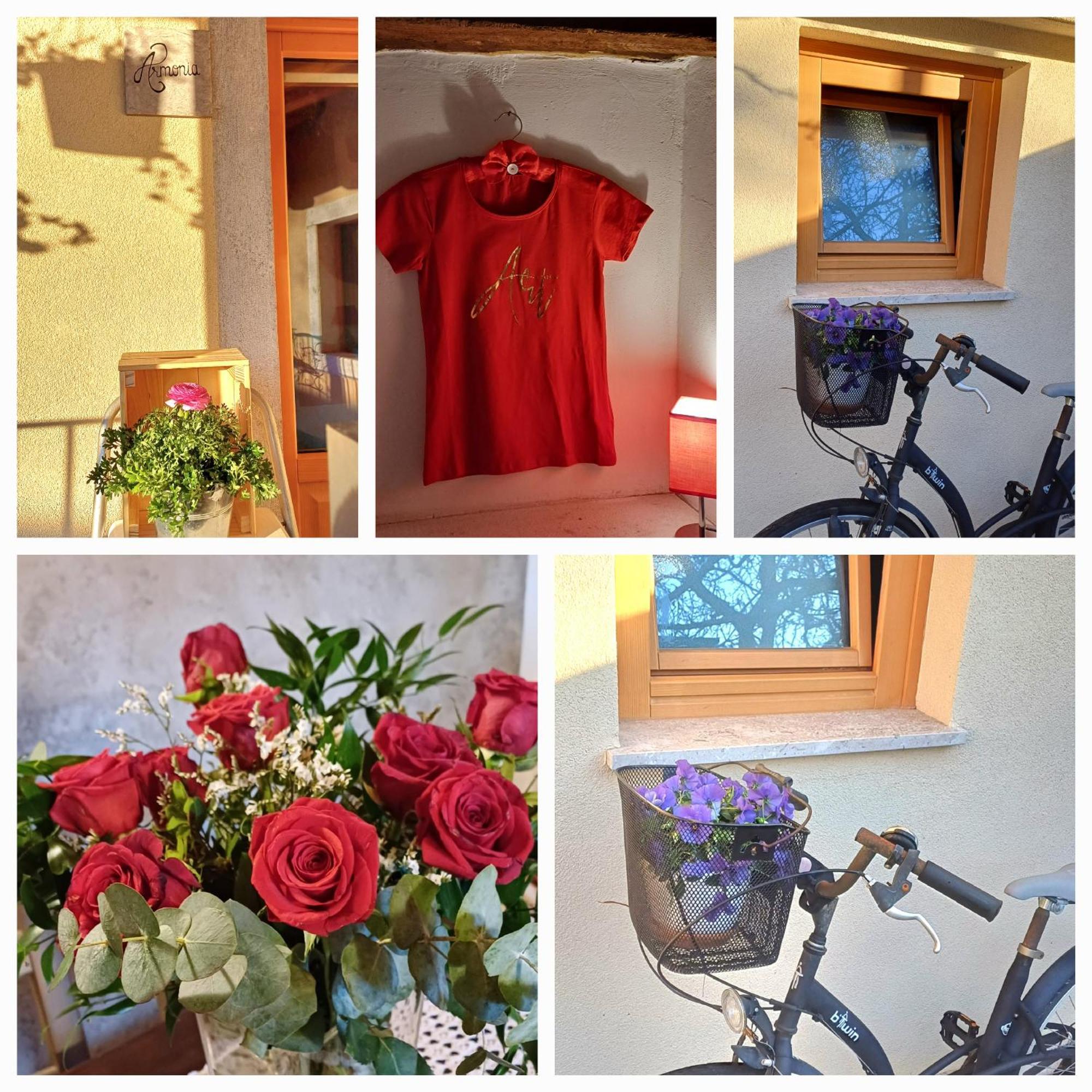 Bed & Breakfast Barbara Borgo Grotta Gigante Buitenkant foto